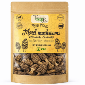 organic morel mushroom