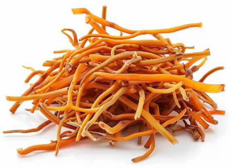 Home screenshot 2025 12 16 130307