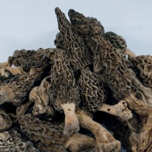 organic moral mushroom