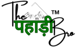 the pahadi bro