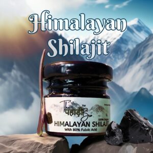 Home The Pahadi Bro himalayan shilajit
