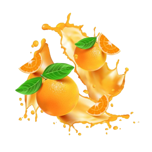 orange removebg preview