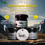 shilajit listing image 4