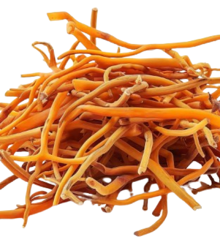 screenshot 2025 12 16 130307 removebg preview